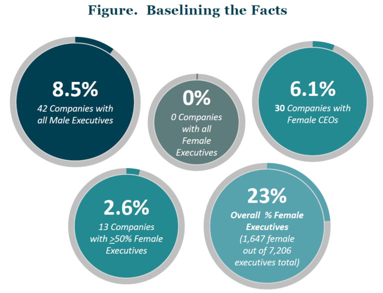Impact of Gender Diversity on Financial Performance in the Fortune 500