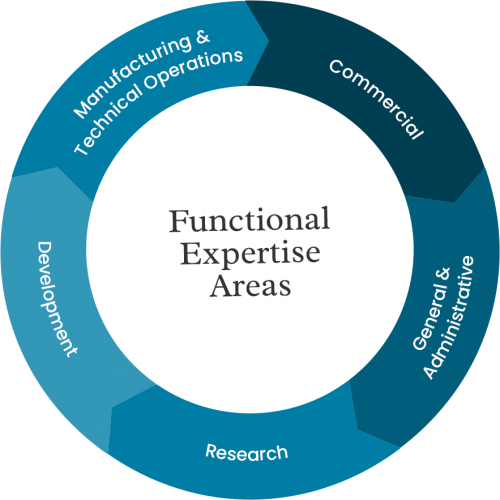 full-areas-expertise-graph